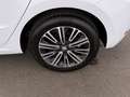 SEAT Ibiza 1.0 TSI Style Edition LED SITZHZG R-CAM PDC Weiß - thumbnail 24