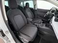 SEAT Ibiza 1.0 TSI Style Edition LED SITZHZG R-CAM PDC Weiß - thumbnail 15