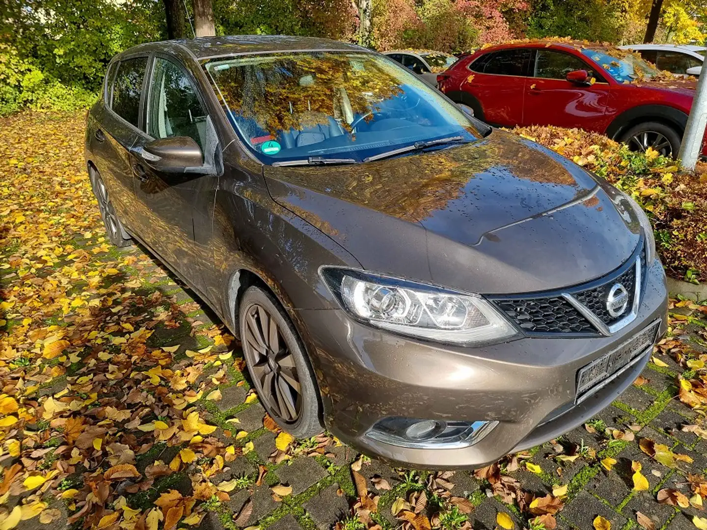 Nissan Pulsar 1.2 DIG-T N-Connecta N-Connecta Grau - 1