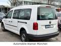 Volkswagen Caddy Maxi 2.0 TDI Fenster *4Motion* Klima, Navi White - thumbnail 7