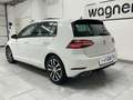 Volkswagen Golf R abbit 1,6 TDI DSG R-Line/LED/ACC/Navi/Pano/Mass... Weiß - thumbnail 15