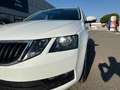 Skoda Octavia Wagon 1.6 tdi Executive 115cv Bianco - thumbnail 6