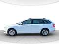 Skoda Octavia Wagon 1.6 tdi Executive 115cv Bianco - thumbnail 2
