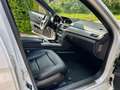 Mercedes-Benz E 250 E 250 CDI T 4MATIC Avantgarde AMG-Line 7G Navi LED Weiß - thumbnail 16