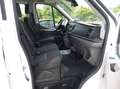 Ford Transit 350 L2 Pritsche+Plane DoKa 7-Sitzer+Klima+SHZ+4x4 Blanc - thumbnail 24