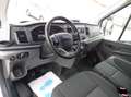 Ford Transit 350 L2 Pritsche+Plane DoKa 7-Sitzer+Klima+SHZ+4x4 Blanc - thumbnail 21