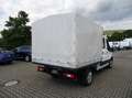 Ford Transit 350 L2 Pritsche+Plane DoKa 7-Sitzer+Klima+SHZ+4x4 Blanc - thumbnail 4