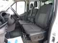 Ford Transit 350 L2 Pritsche+Plane DoKa 7-Sitzer+Klima+SHZ+4x4 Blanc - thumbnail 19