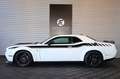 Dodge Challenger R/T HEMI 5.7L/WIDEBODY/STARRY SKY Blanco - thumbnail 3