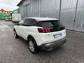 Peugeot 3008 3008 BlueHDi 120 S&S Business Bianco - thumbnail 8