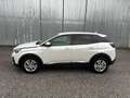 Peugeot 3008 3008 BlueHDi 120 S&S Business Bianco - thumbnail 4