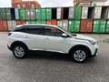 Peugeot 3008 3008 BlueHDi 120 S&S Business Bianco - thumbnail 5