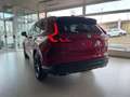 Honda CR-V CR-V 2.0 Hev eCVT Elegance AWD Rosso - thumbnail 6