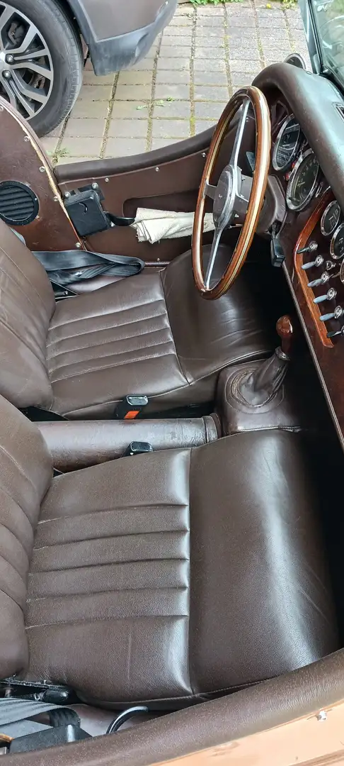 Morgan Plus 8 Beige - 2