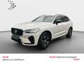 Volvo XC60 R Design 2WD*LED*Digital*Sportsitze*Teilled Weiß - thumbnail 1