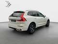 Volvo XC60 R Design 2WD*LED*Digital*Sportsitze*Teilled Weiß - thumbnail 2