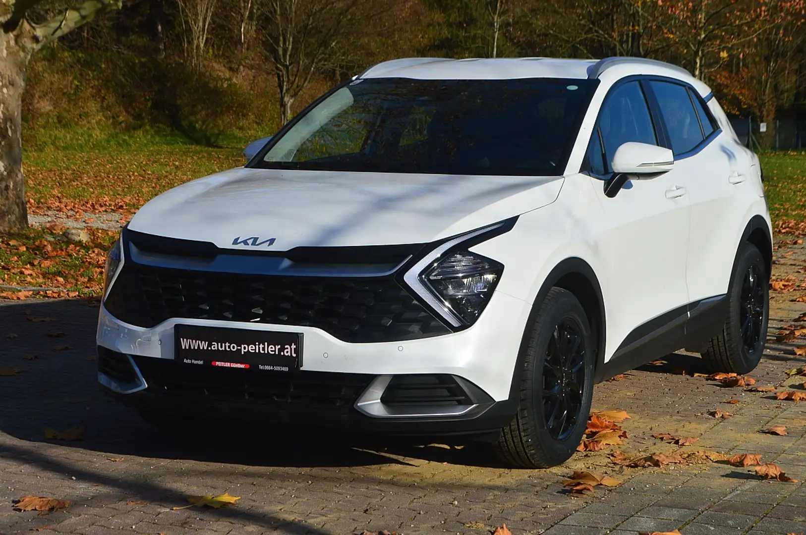 Kia Sportage 1,6 TGDI+Virtual Cockpit+NAVI+SHZ+LED+ Blanc - 2