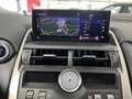 Lexus NX 300h Executive Line |Panorama-Dach |LED |ACC Rot - thumbnail 14