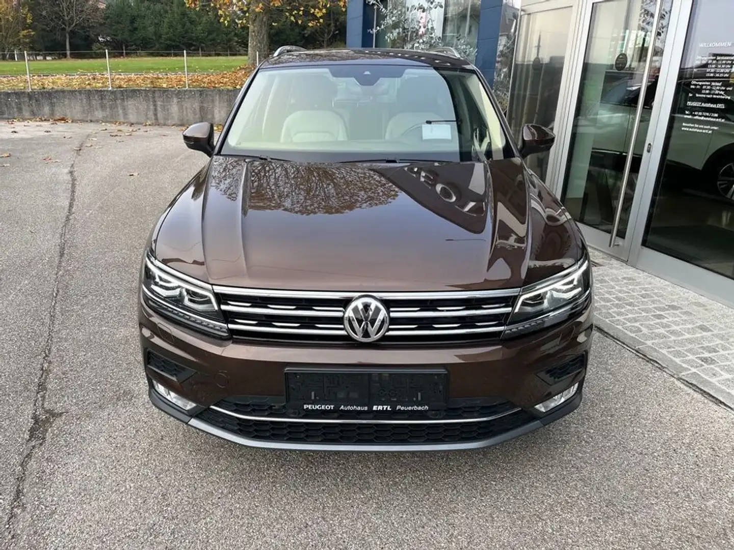 Volkswagen Tiguan Highline BMT/Start-Stopp 4Motion Leder Braun - 2