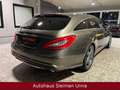 Mercedes-Benz CLS CLS 500/AMG-Line/4Matic/Leder Gri - thumbnail 6