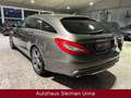 Mercedes-Benz CLS CLS 500/AMG-Line/4Matic/Leder Grey - thumbnail 4