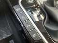 Kia Ceed / cee'd Grün - thumbnail 12