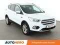 Ford Kuga 2.0 TDCi Titanium *NAVI*SHZ*ALU*TEMPO*LIM* Weiß - thumbnail 8