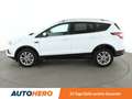 Ford Kuga 2.0 TDCi Titanium *NAVI*SHZ*ALU*TEMPO*LIM* Weiß - thumbnail 3
