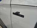 Skoda Kamiq 1,0 TSI Monte Carlo DSG Grau - thumbnail 4