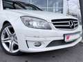 Mercedes-Benz CL 180 K Panorama 2xPDC 18Zoll Scheckheft CL 180 Weiß - thumbnail 20