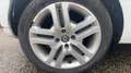 Renault Clio 1.5 dCi 75 Business Blanc - thumbnail 16
