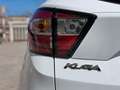Ford Kuga 1.5TDCi Auto S&S Trend 4x2 120 Wit - thumbnail 14