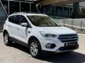 Ford Kuga 1.5TDCi Auto S&S Trend 4x2 120 Wit - thumbnail 3