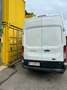 Ford Transit transit kawa L3 350/114 - thumbnail 6