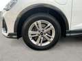 Audi Q3 45 NAVI ACC SONOS LED Weiß - thumbnail 15