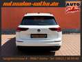 Volkswagen Golf VIII Variant Life LED+ACC+AHK+Pano+Sitzhzg Weiß - thumbnail 5