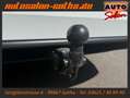 Volkswagen Golf VIII Variant Life LED+ACC+AHK+Pano+Sitzhzg Weiß - thumbnail 21