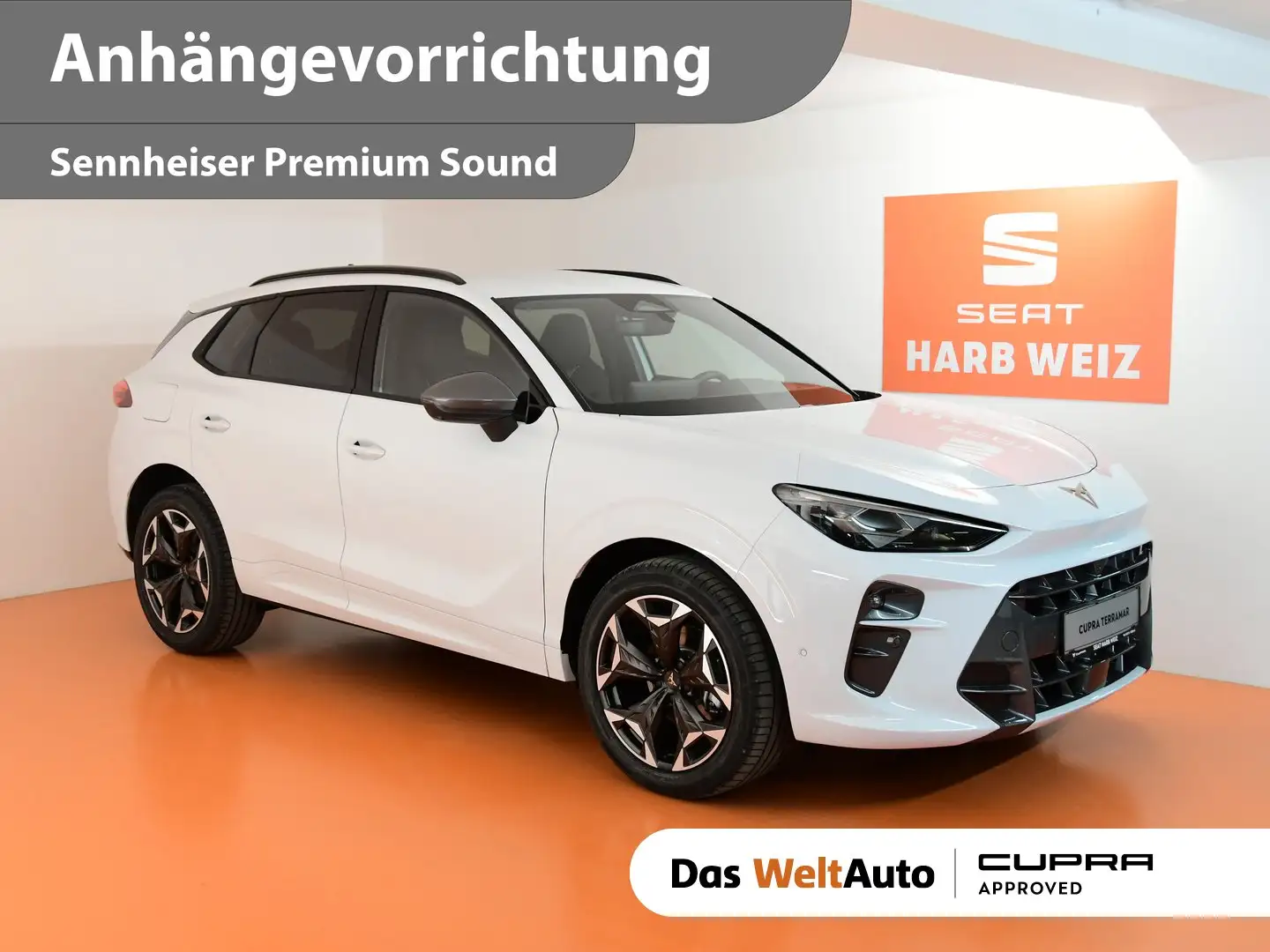 CUPRA Terramar 1.5 e-TSI 150 PS DSG Weiß - 1