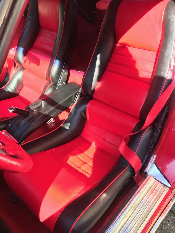 Chevrolet Corvette Altro, foto 4