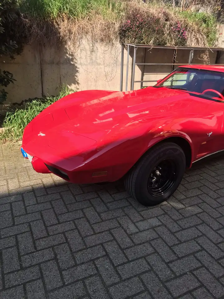 Chevrolet Corvette Altro, foto 2