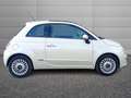 Fiat 500 1.2 Lounge 69 CV Weiß - thumbnail 3