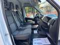 Fiat Ducato MAXI2.3 MJT 130CV OFFICINA MOBILE- PAS MED/TET ALT Blanc - thumbnail 14