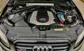 Audi SQ5 SQ5 plus 3,0 TDI quattro Tiptronic Schwarz - thumbnail 9