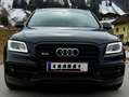 Audi SQ5 SQ5 plus 3,0 TDI quattro Tiptronic Schwarz - thumbnail 6