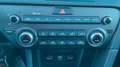 Kia Sportage 1.6 crdi Business Class 2wd 115cv Grigio - thumbnail 7