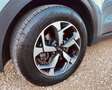 Kia Sportage 1.6 crdi Business Class 2wd 115cv Grigio - thumbnail 14