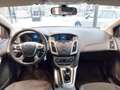 Ford Focus 1.6 TDCi 115 CV Business Grigio - thumbnail 11