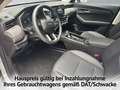 GWM HAVAL Jolion Pro Haval  PREMIUM 1.5 Turbo 7-Gang DCT LED Grau - thumbnail 12