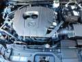 Mazda CX-30 2.5L e-SKY-G140 Homura  LED/BSM/Kamera/MRCC Noir - thumbnail 12