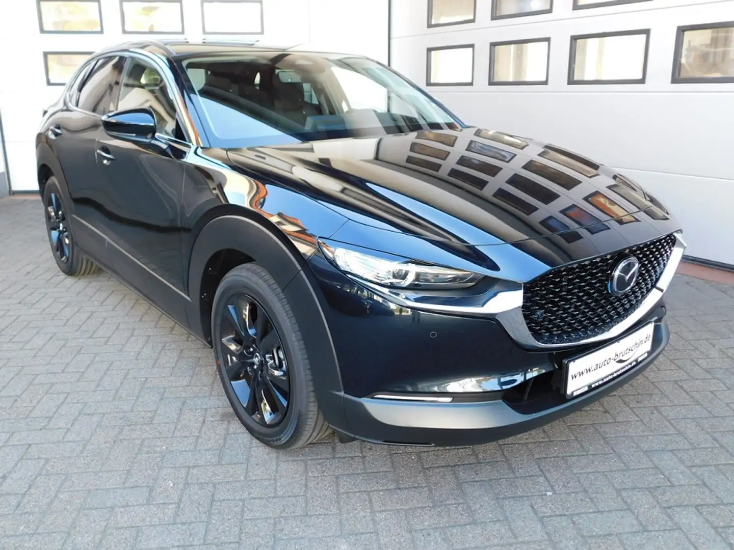 Mazda CX-30 2.5L e-SKY-G140 Homura  LED/BSM/Kamera/MRCC Noir - 1